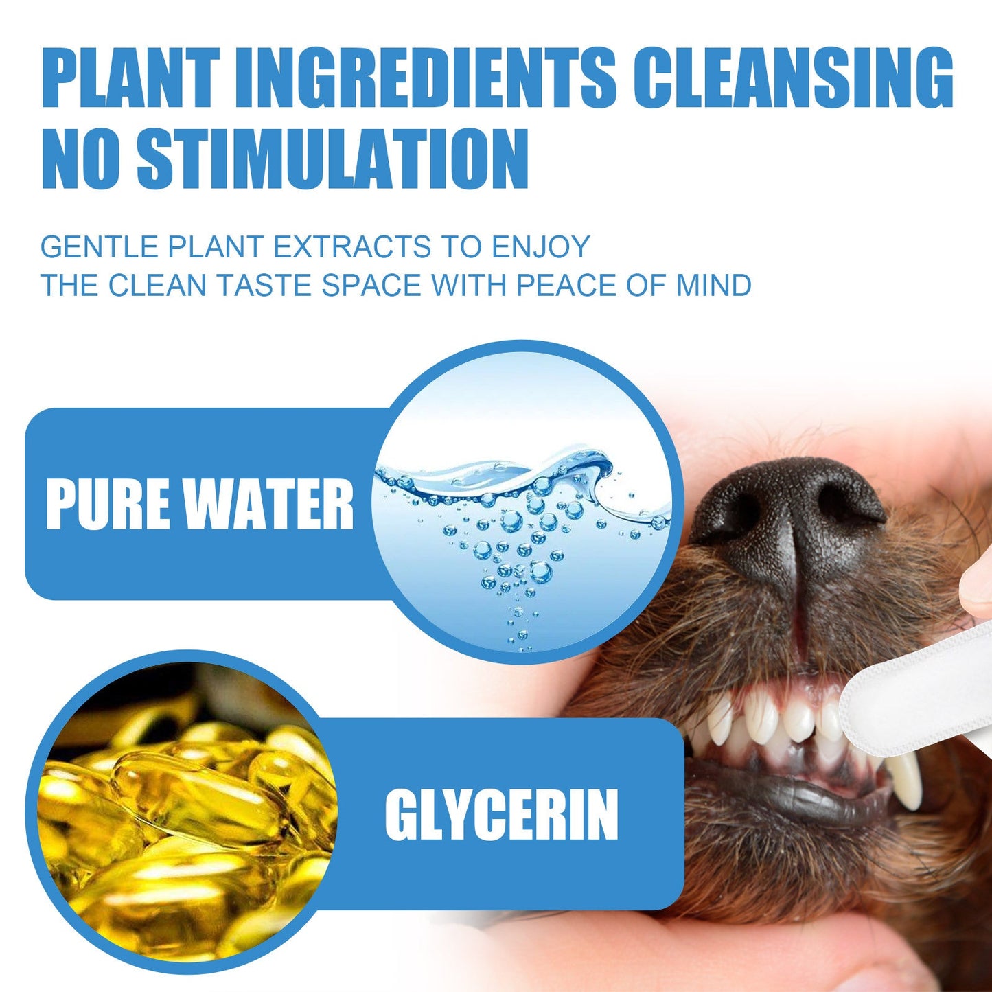 Tartar removal wipes for dogs with plant ingredients, pure water, and glycerin for effective dental care