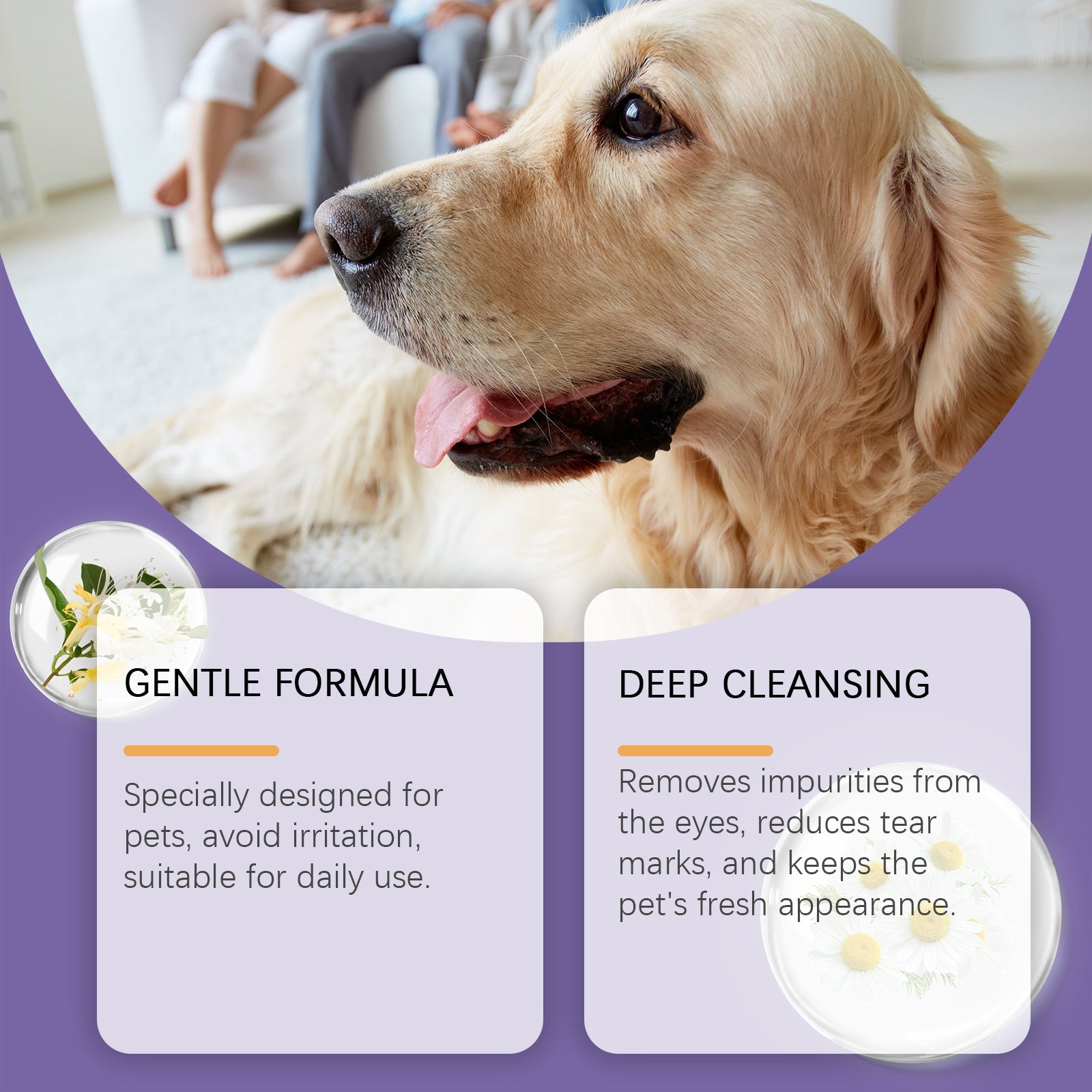Pet Eye Cleaner by V.I.P Digital Presence as a gentle tear stain remover for dogs and cats