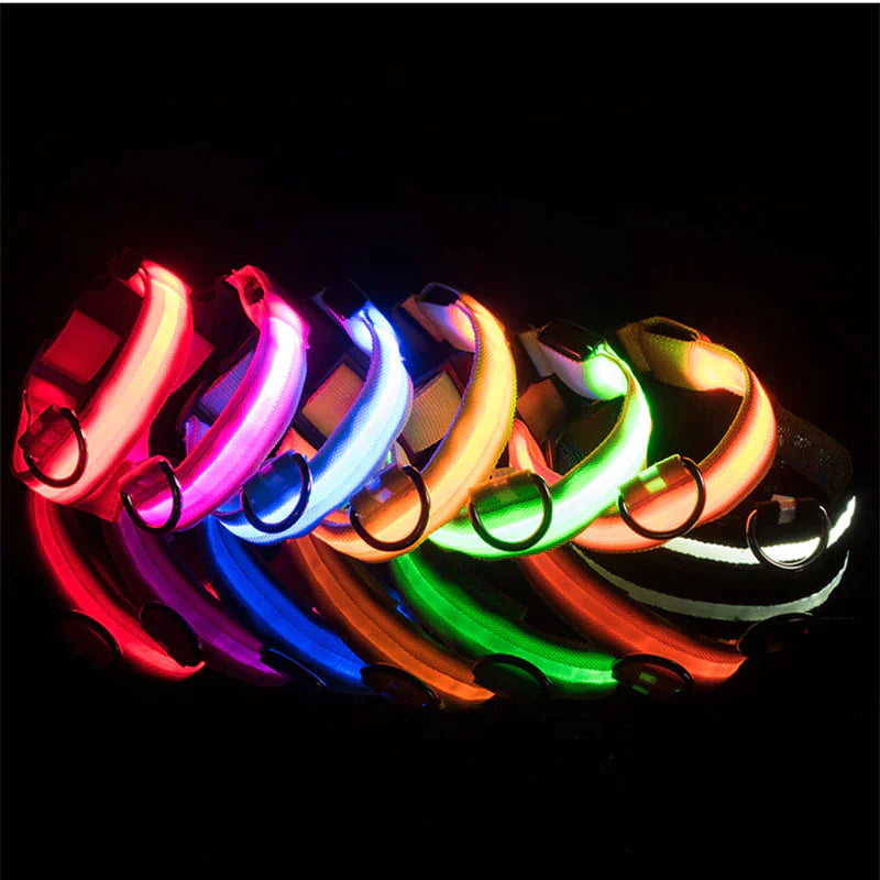 Royal Luminous Safety Pet Collar Adjustable LED Night Visibility 💡👑