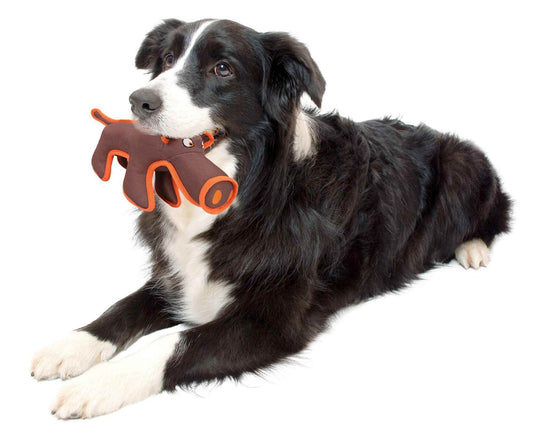Purrfect Pet Kingdom Long-Lasting Dog Toy for Aggressive Chewers Purrfect Pet Kingdom