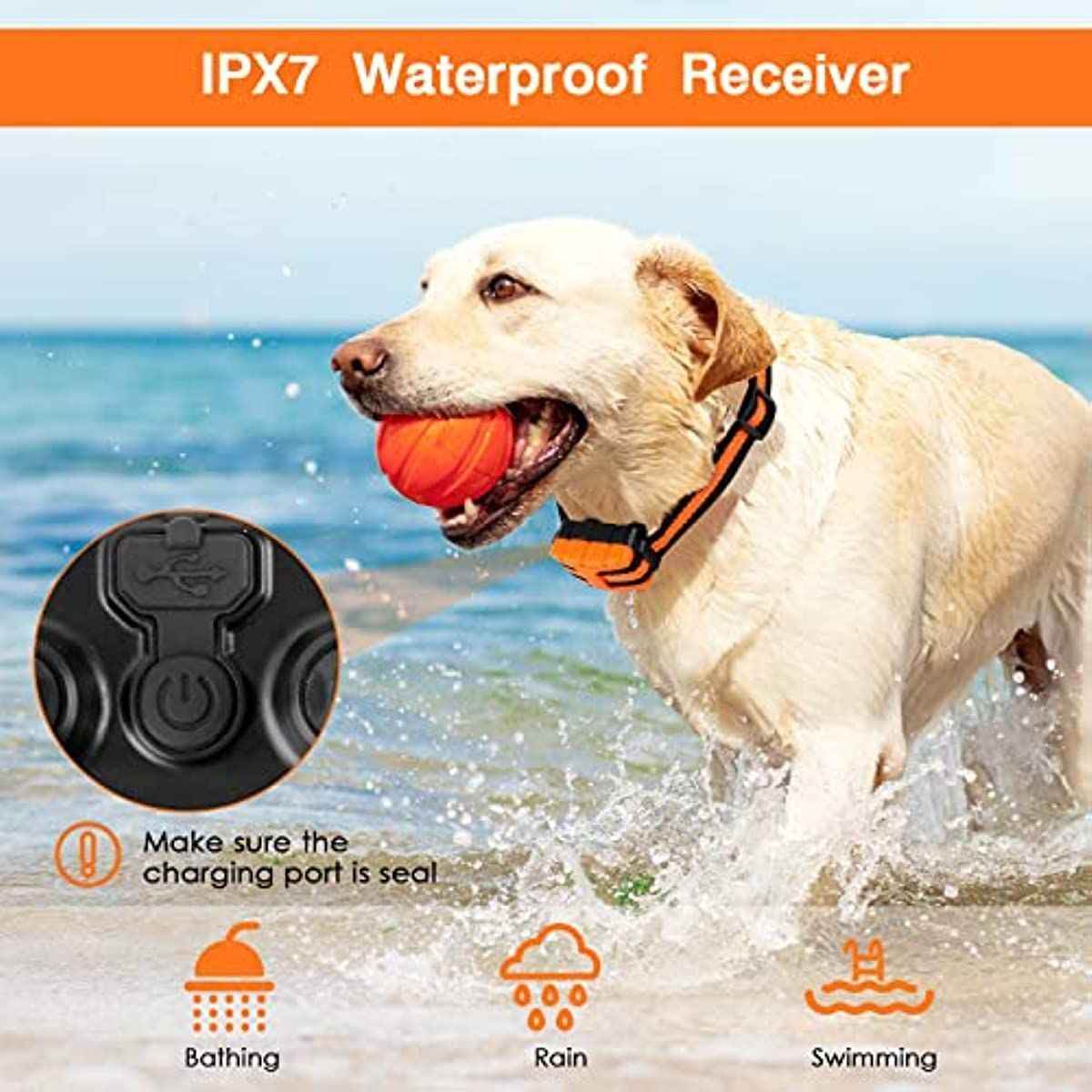 Purrfect Pet Kingdom Long Range Dog Training Device Collar Purrfect Pet Kingdom