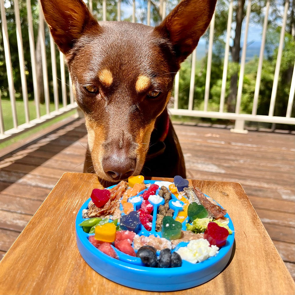 Air Nylon eCoin Lick Mat for Dogs - Durable Enrichment Toy | SodaPup - gallery view 8 | Dog Toys at Purrfect Pet Kingdom