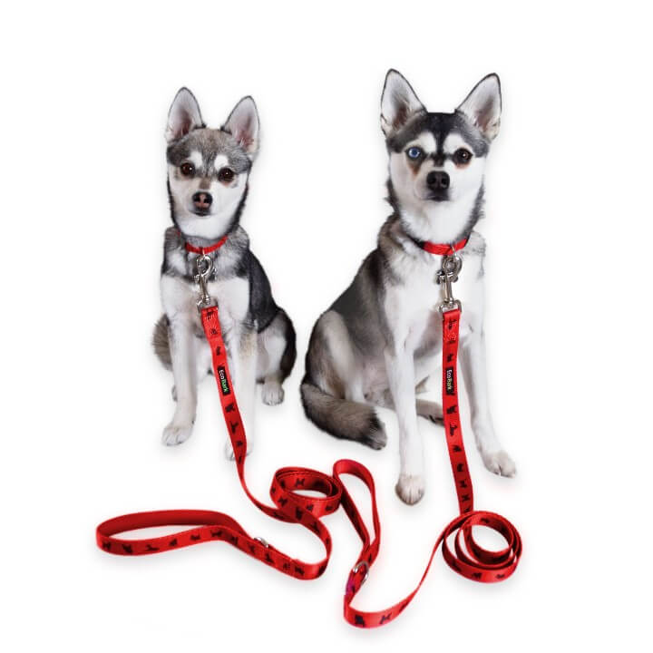 Eco Style Dog Leash for Daily Walks for Royal Pet Homes - Dog Leash view 7 from Purrfect Pet Kingdom
