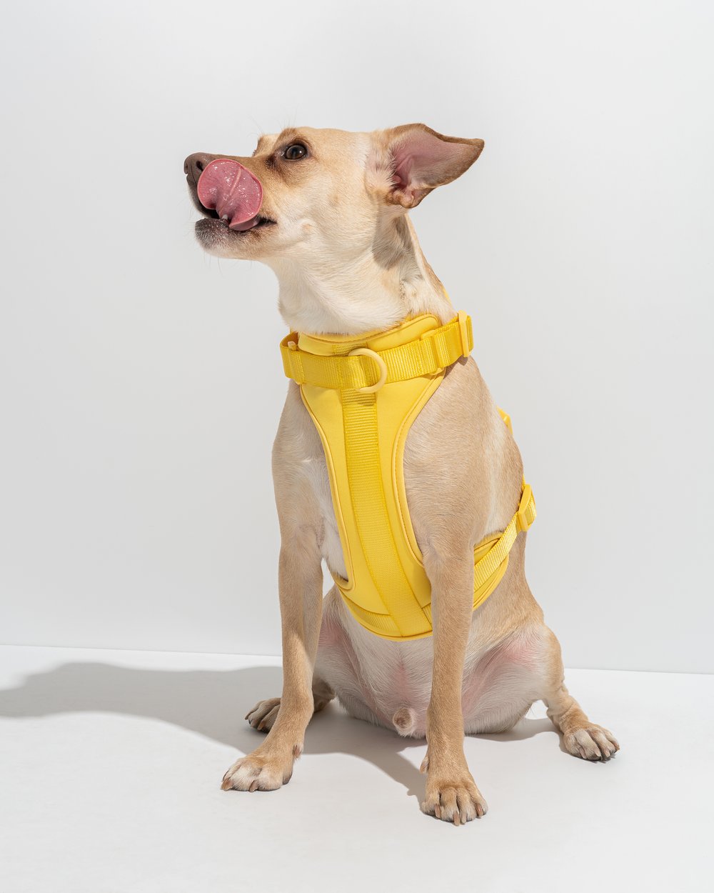 Luxe Harness - Luxe Harness - Pawmigo