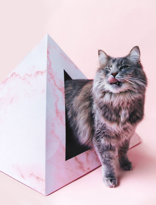 Luxury cardboard cat bed in a pyramid shape with a marble design, featuring a playful cat emerging from it