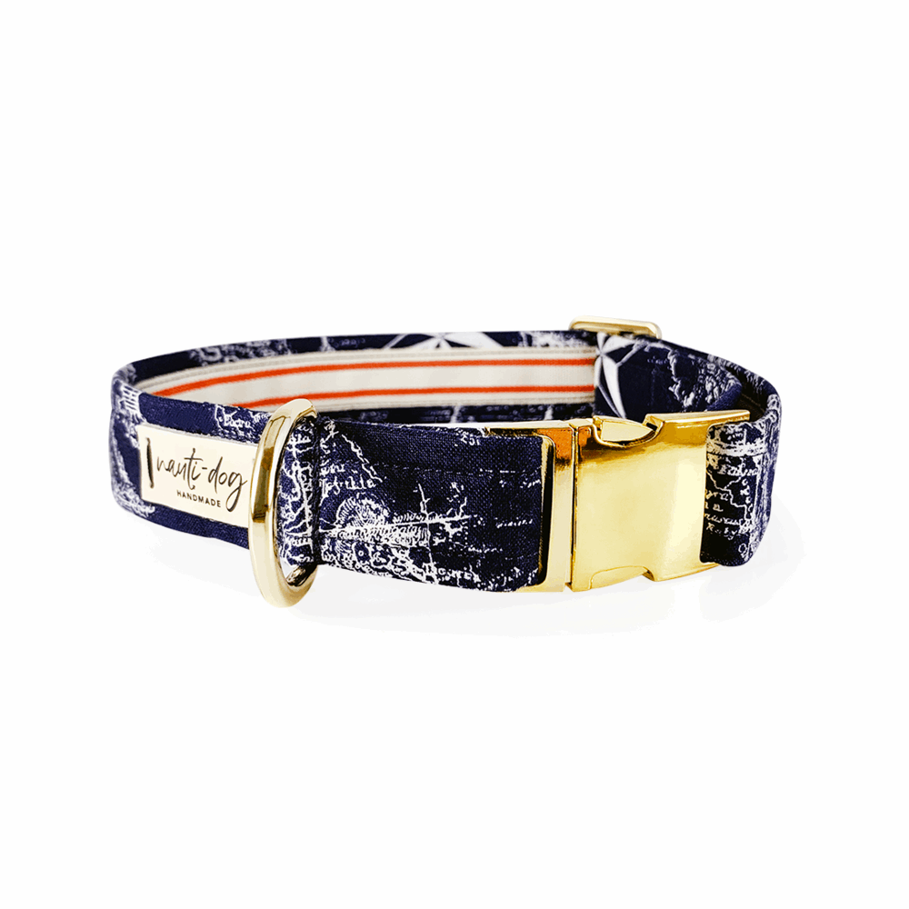 Luxury dog collar nautical design from Nauti-dog Handmade featuring a stylish blue pattern and gold buckle