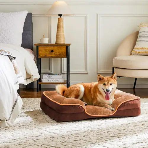 Luxury orthopedic bed for medium dogs featuring a comfortable design and a happy dog relaxing in a cozy room