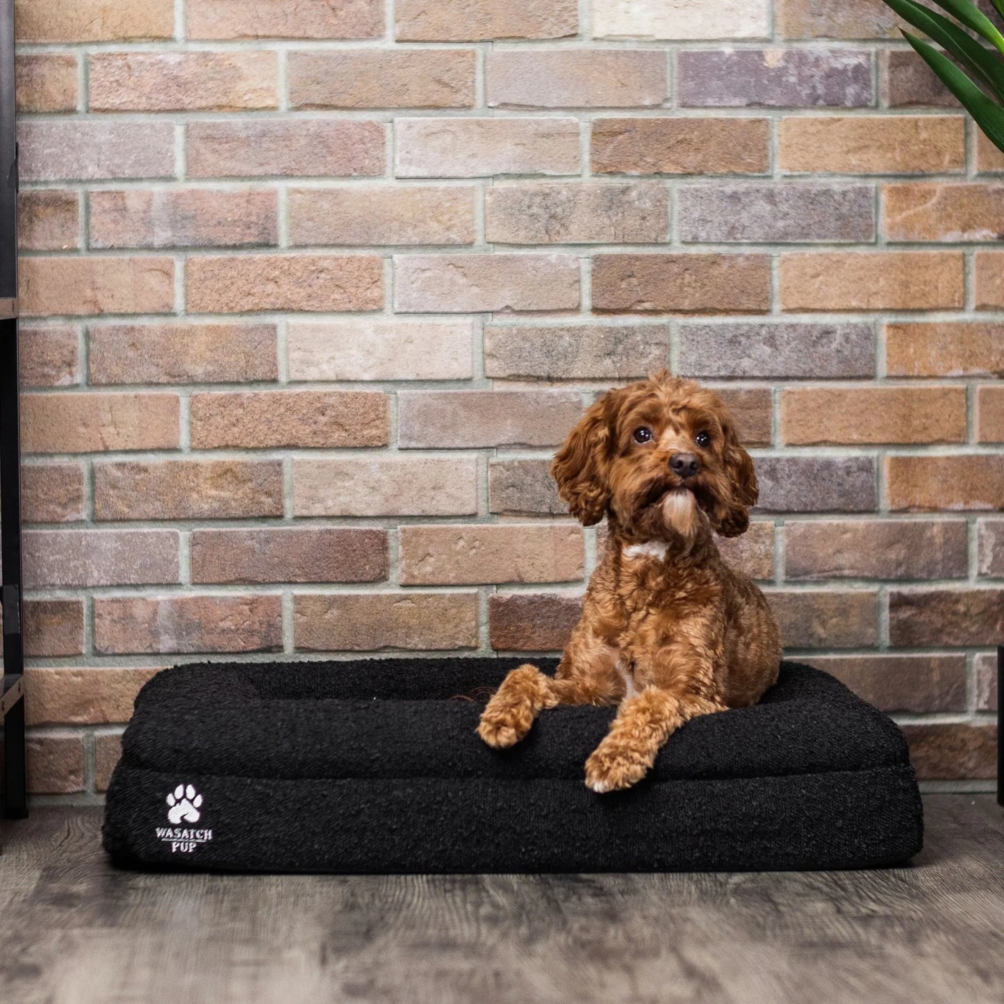 Luxury Orthopedic Dog Bed by Wasatch Pup in small size, available in charcoal, grey, and bone colors for ultimate comfort.