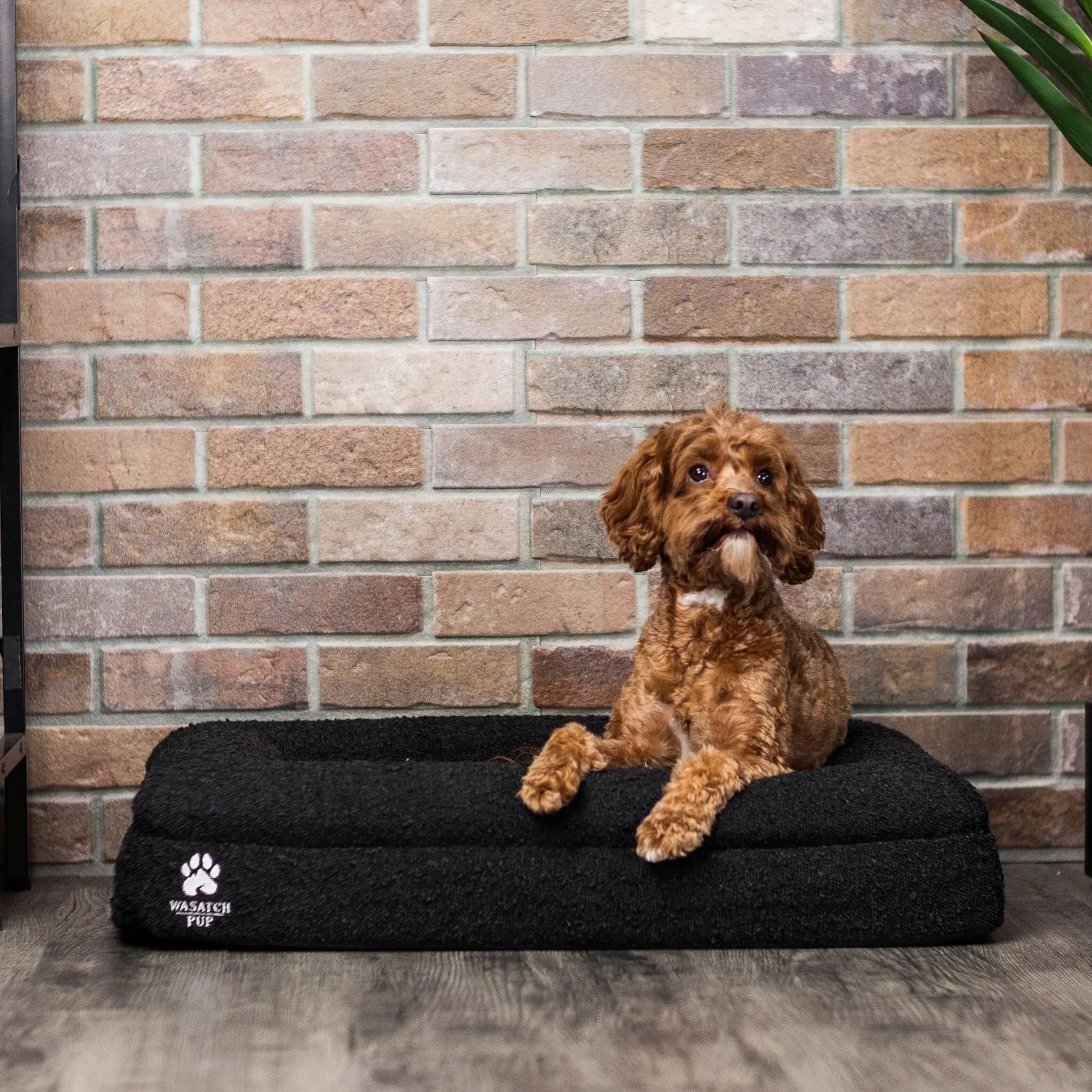 Luxury Orthopedic Dog Bed by Wasatch Pup in small size, available in charcoal, grey, and bone colors for ultimate comfort.