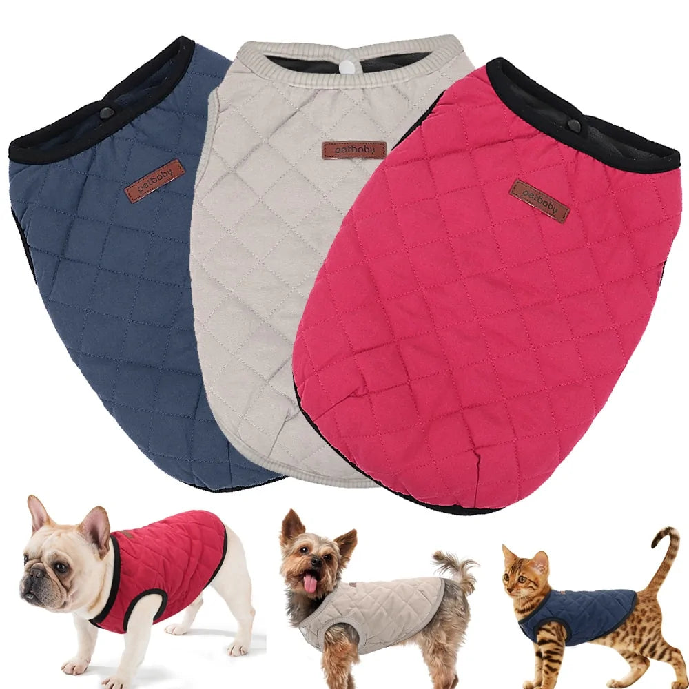 Dog Winter Jacket - Mimarta
