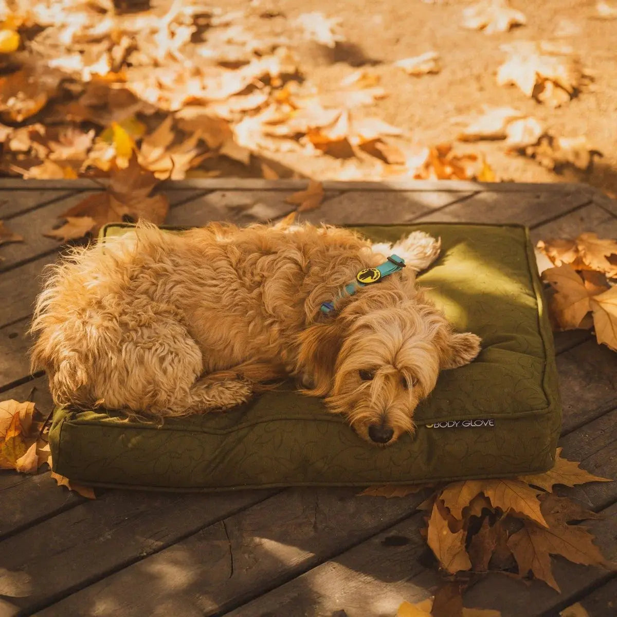 K9 Outdoors machine washable dog bed for large dogs in a natural setting with a dog resting