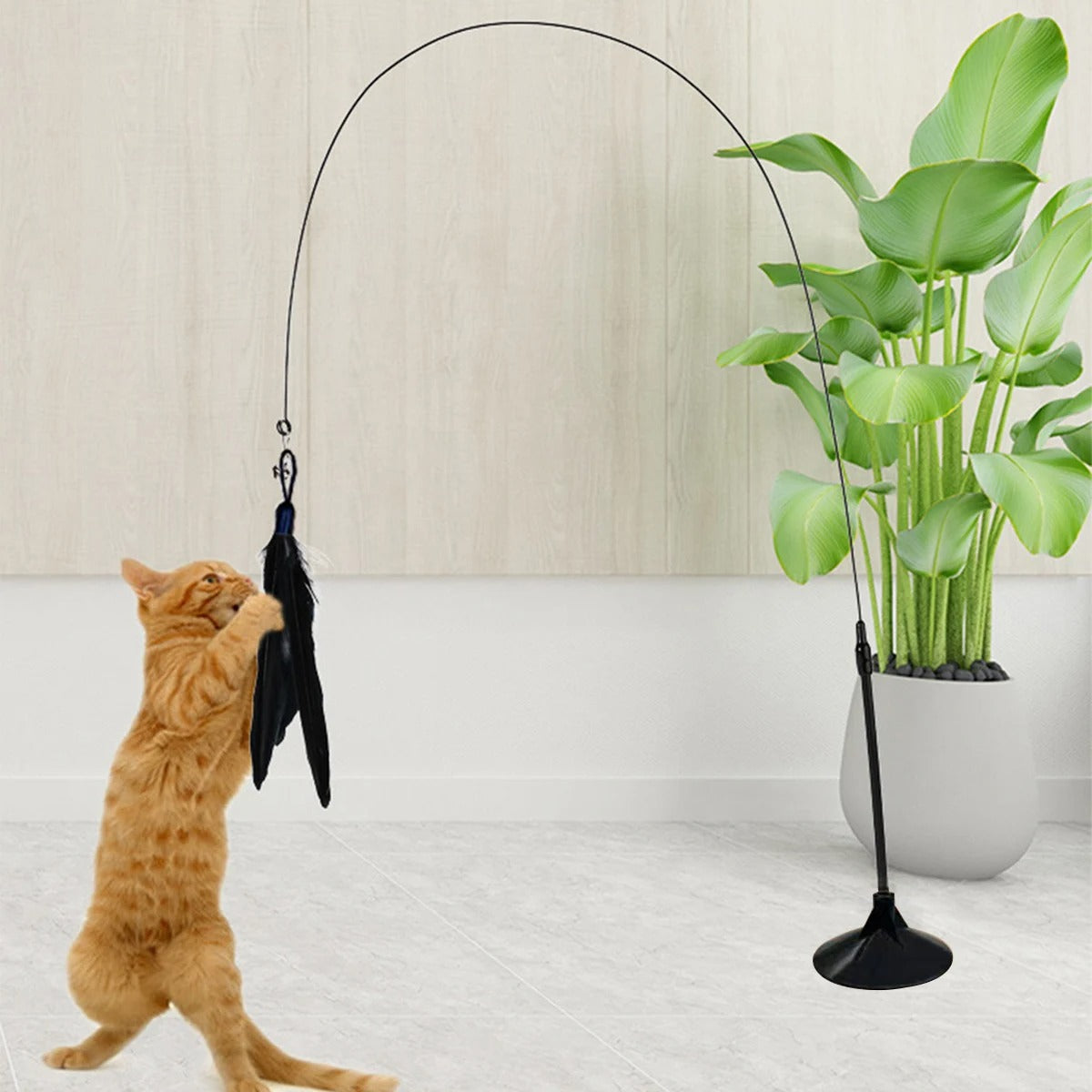 Cat Teaser Stick with Suction Cup – Long - Lasting Feather Wand Toy - WTN Essentials