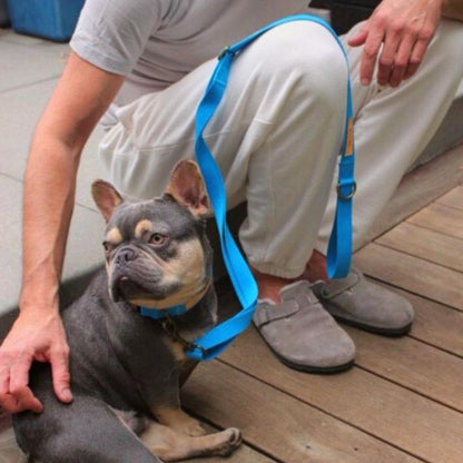 Dog Leash Hemp Cotton Sustainable Blue 🦮