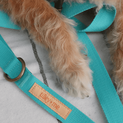Malibu Sunset Sustainable Hemp Cotton Adjustable Dog Collar– Durable & Soft - Collars + Leashes - Tilley + Me