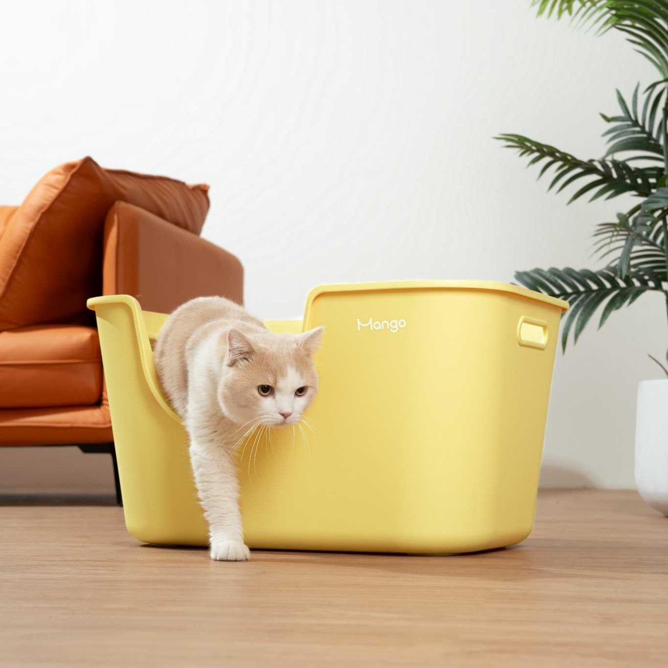 Butter colored litter box for cats by MangoPets with sleek design and comfortable entry for feline friends