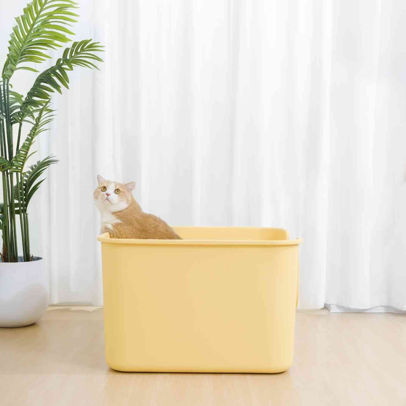 Mango color jumbo litter box designed for comfortable cat use with a spacious interior