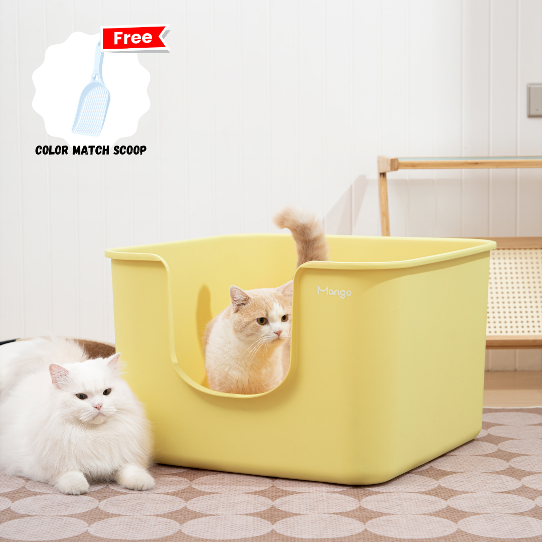 Mango color jumbo litter box for cats offering extra space and comfort for your pet