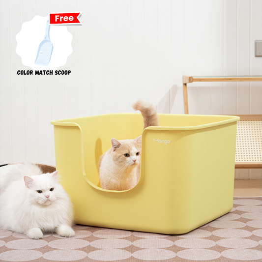 Mango color jumbo litter box for cats offering extra space and comfort for your pet