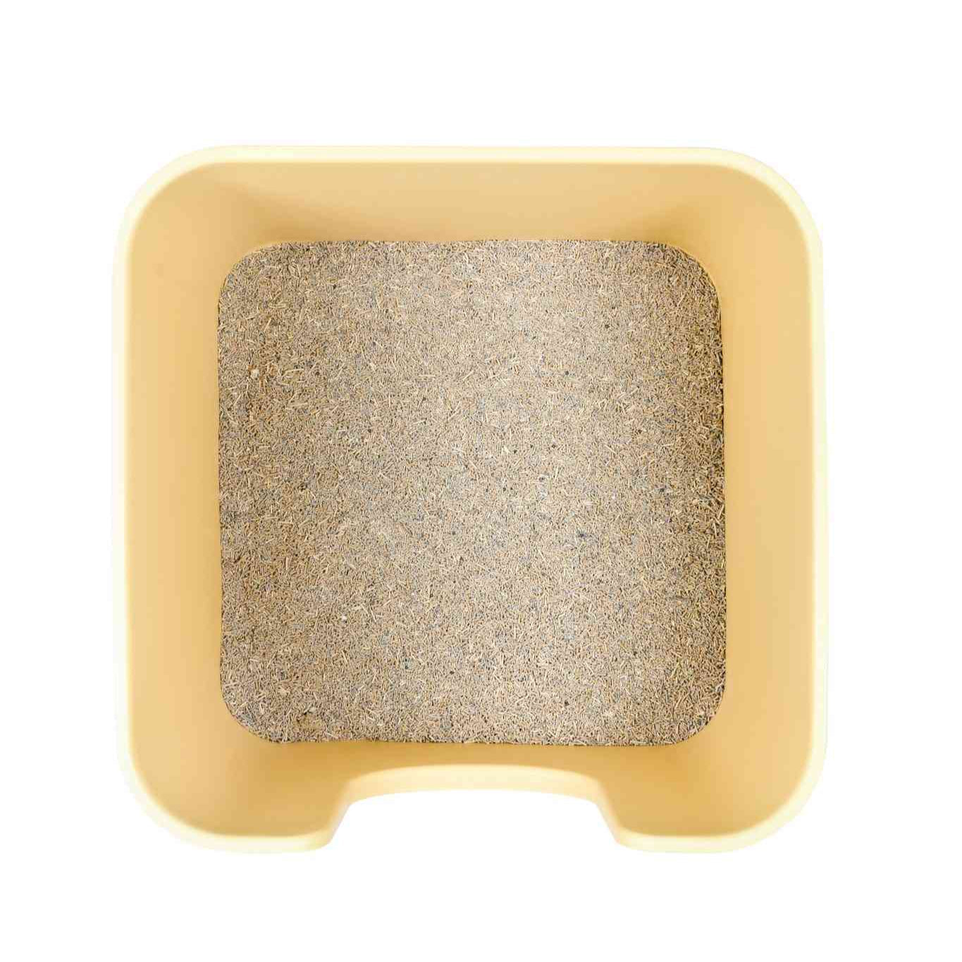 Mango color jumbo litter box with a spacious interior designed for comfortable use by cats