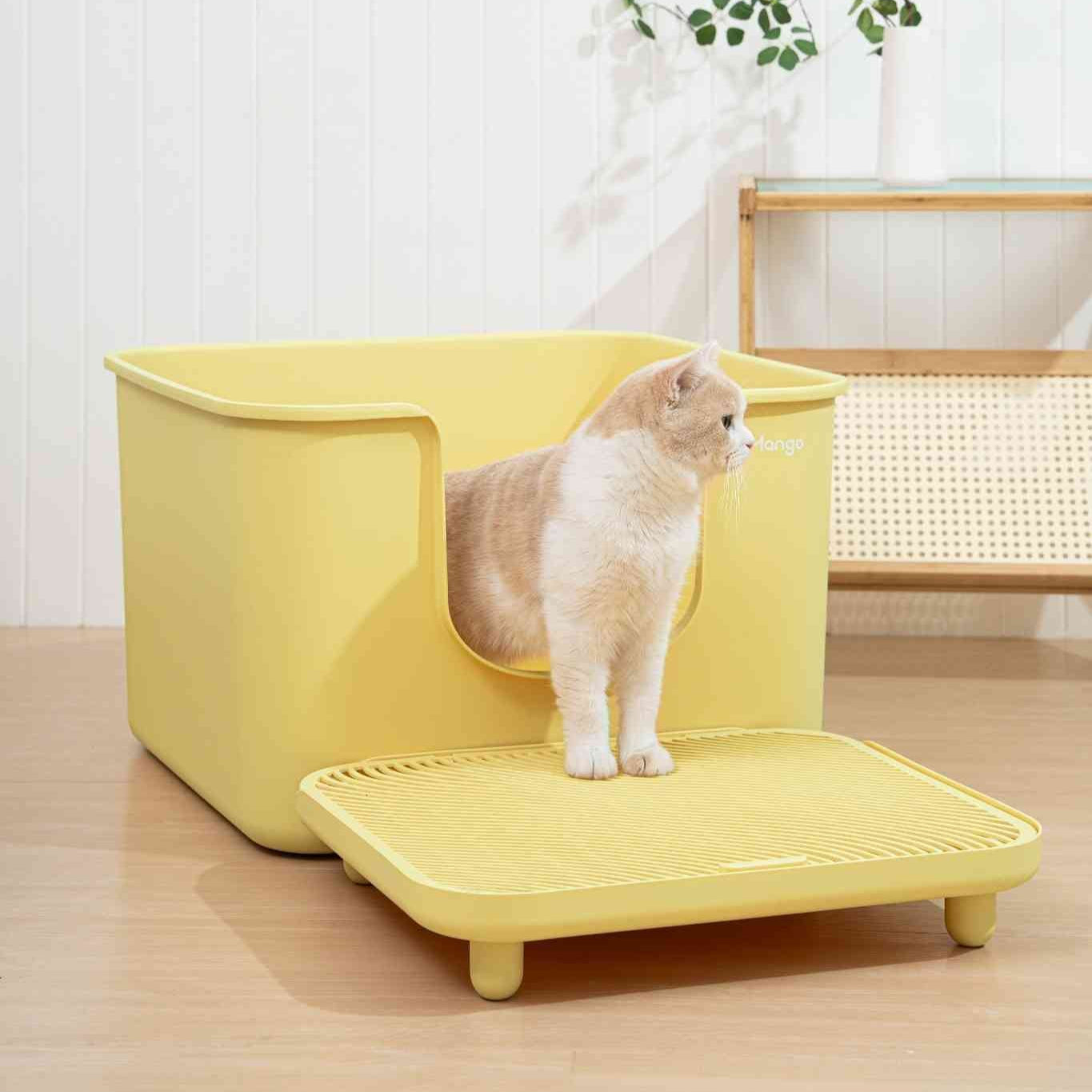 Mango color jumbo litter box by MangoPets with a cat entering, designed for spacious pet comfort