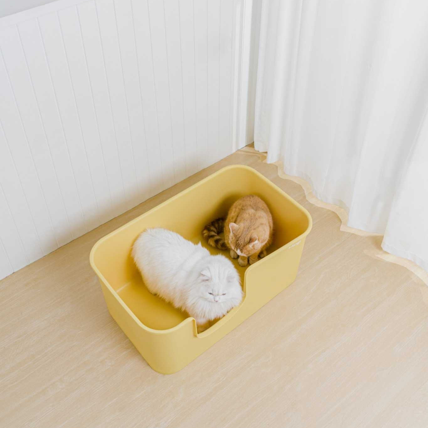 MangoPets XXL litter box for multiple cats in yellow with two cats comfortably inside