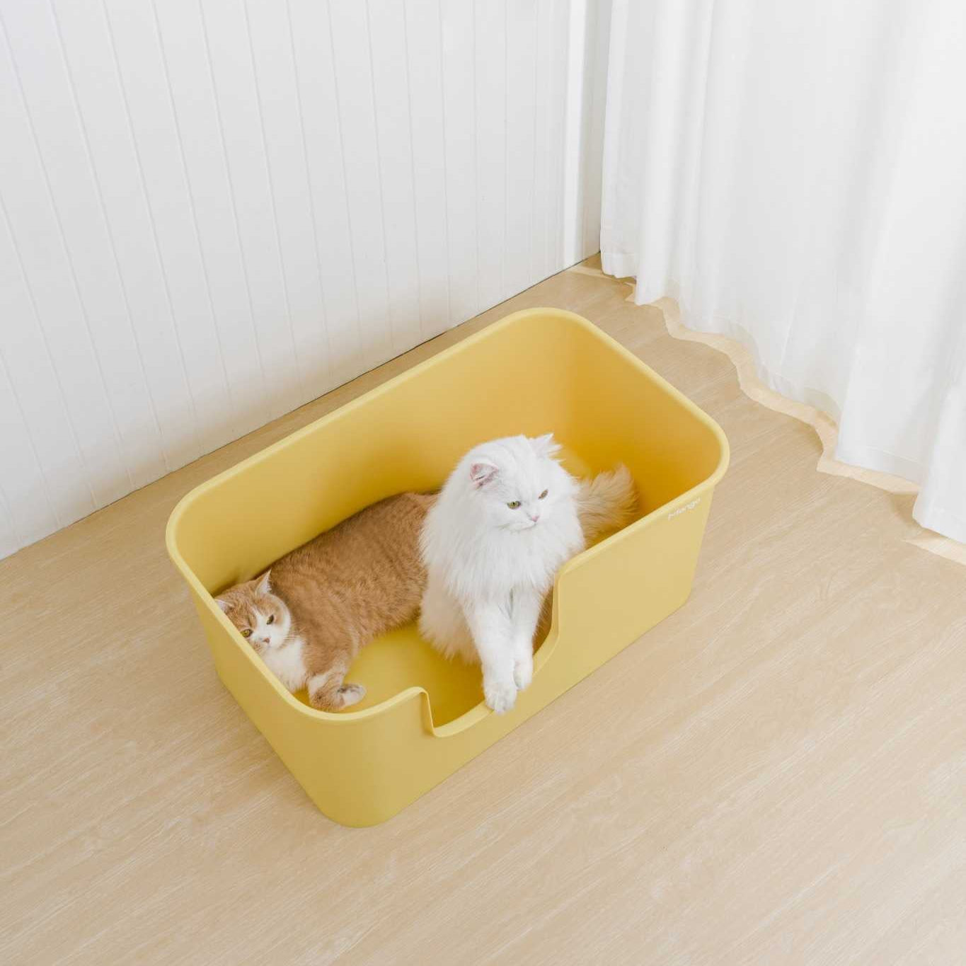 MangoPets XXL litter box for multiple cats in yellow, spacious for comfort and easy access