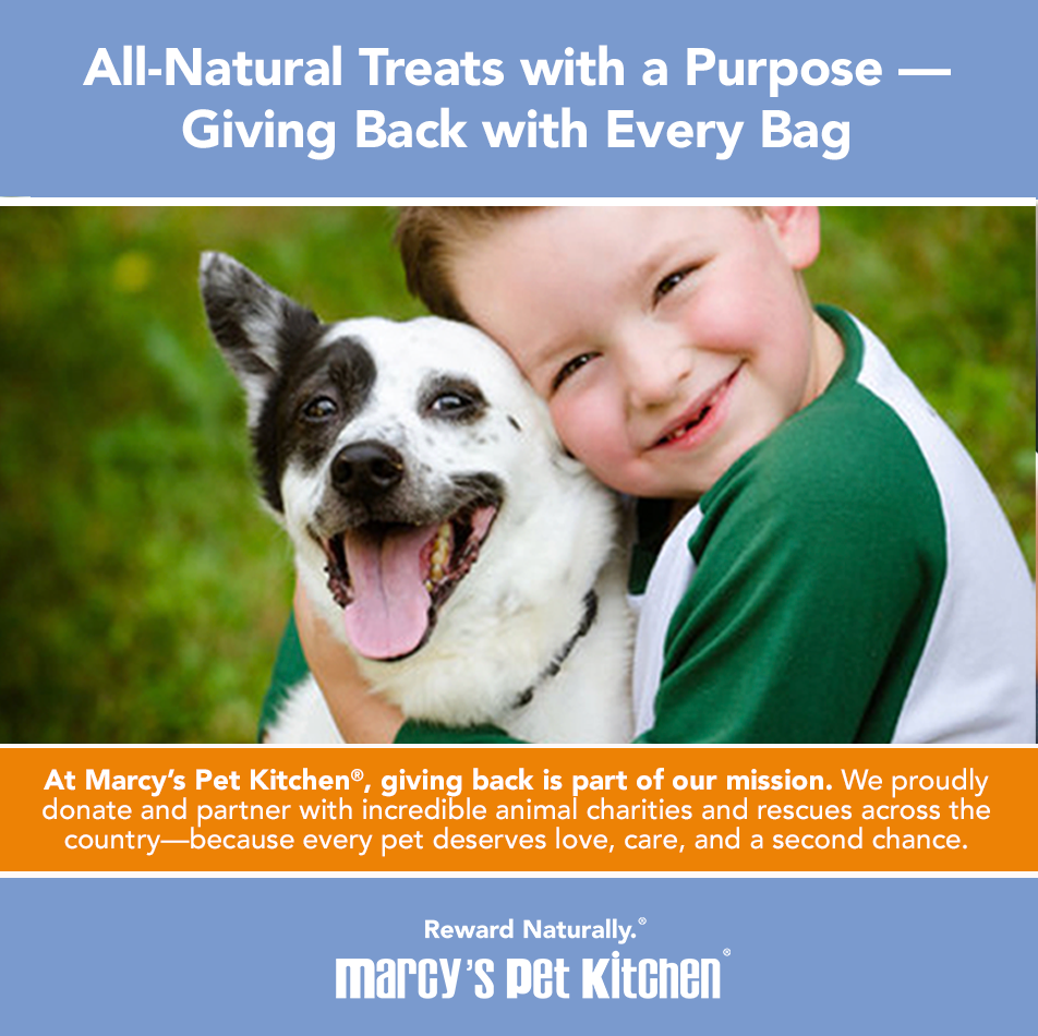Marcy's Pet Kitchen all-natural pet treats promoting charity with a boy and dog image