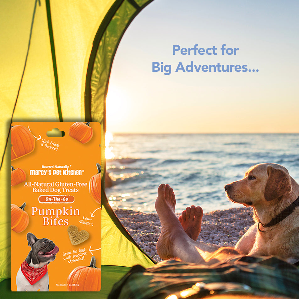 Marcy's Pet Kitchen All-Natural Pumpkin Bites Gluten-Free Dog Treats for Adventurous Pets