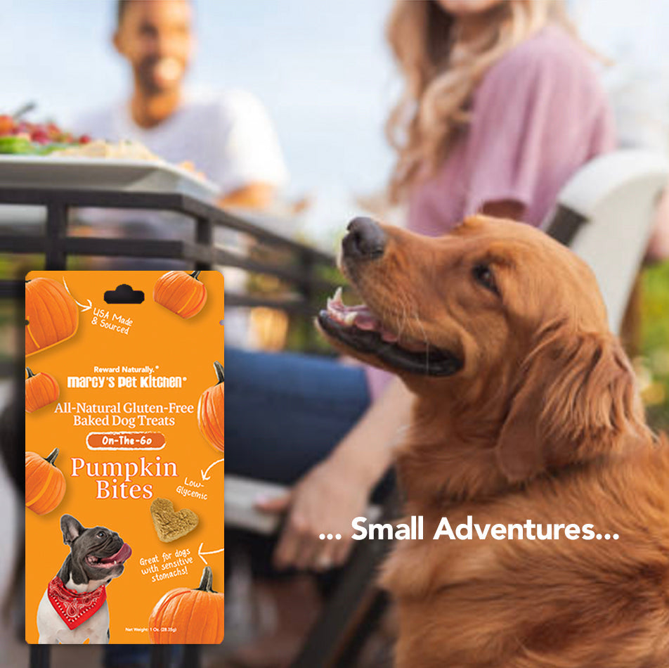 Marcy's Pet Kitchen Pumpkin Bites All-Natural Gluten-Free Dog Treats for Happy Pets