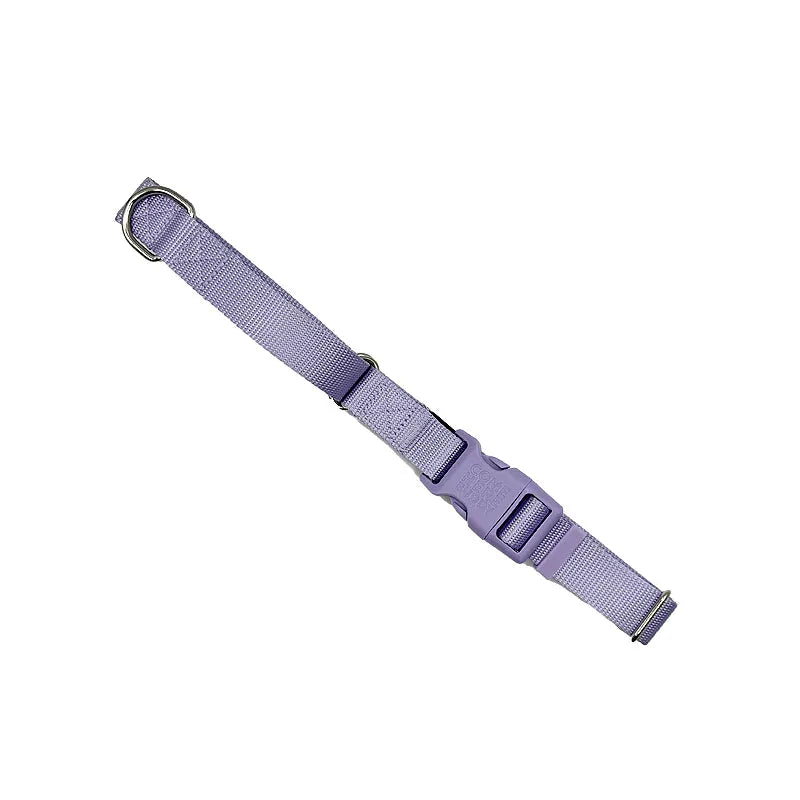 Martingale dog collar by Come Here Buddy in small size, available in black, green, and lilac colors for stylish pet access...