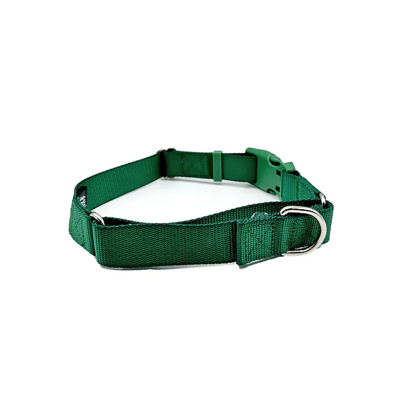 Martingale dog collar by Come Here Buddy in small size, available in black, green, and lilac colors, perfect for pet colla...