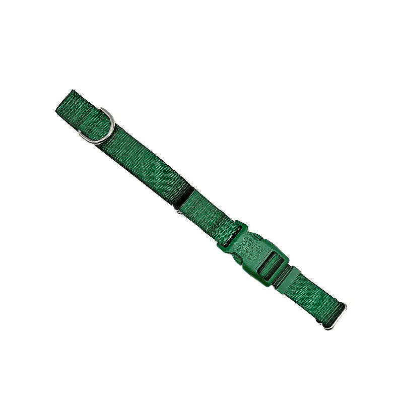 Martingale dog collar by Come Here Buddy in small size, available in black, green, and lilac colors for stylish pet walks.