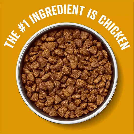 Bowl of grain free chicken dog food with a text highlighting chicken as the top ingredient