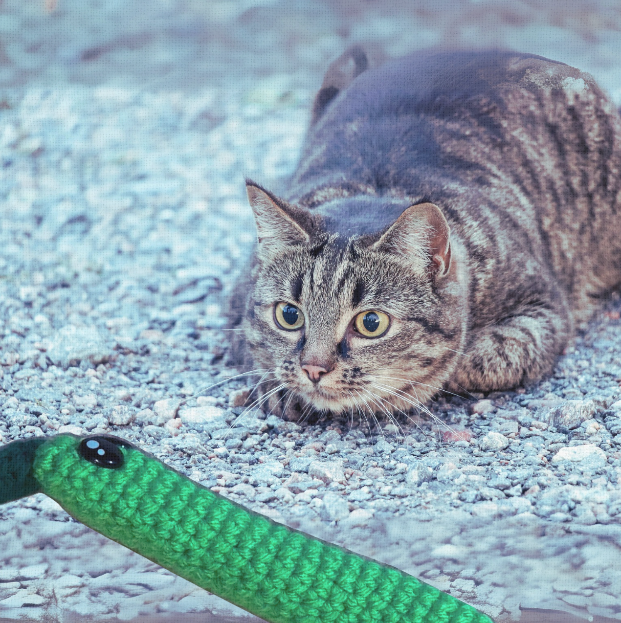 Leaf the stick | lightweight cat toy with crinkles