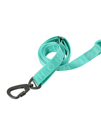 Mint green padded active dog leash by Purrfect Pet Kingdom, 5ft heavy-duty webbing, available in M ($15.49) and L ($16.99).