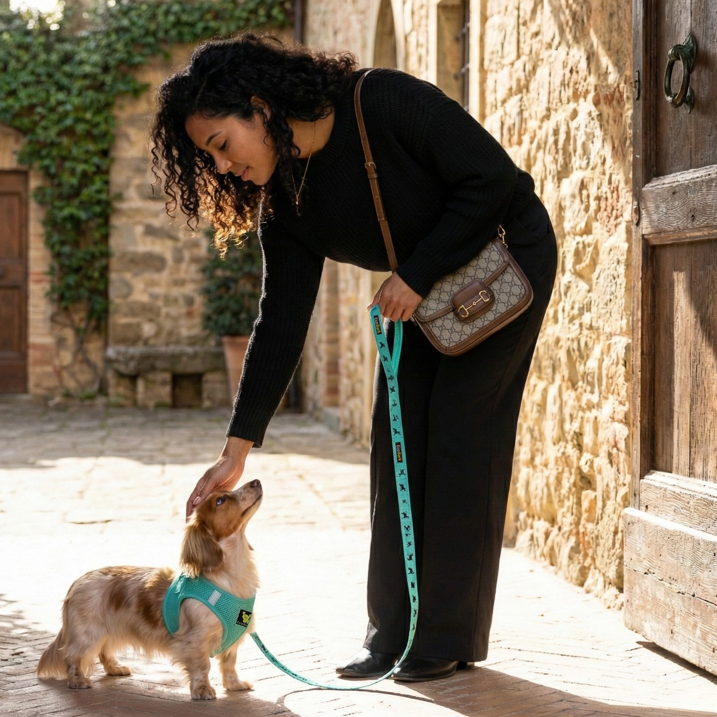 EcoBark Step In Dog Harness Reflective Mesh For Small Breeds