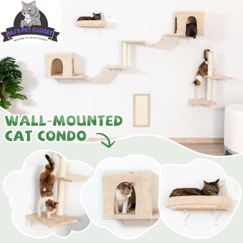 Modern cat wall playground with wall-mounted cat condo and multiple levels for climbing and resting