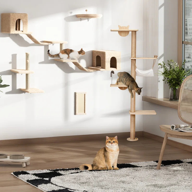 Modern cat wall playground featuring climbing shelves, cozy hideouts, and lounging spots for playful cats