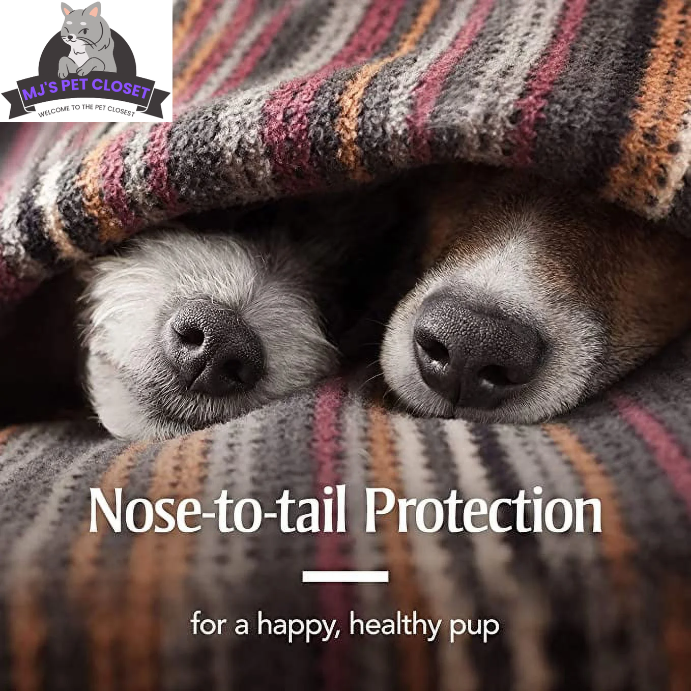 Long lasting dog flea collar 6 months for effective protection against fleas and ticks