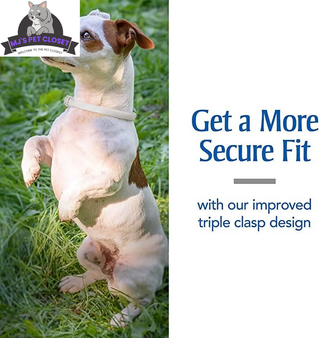 Long lasting dog flea collar 6 months with improved triple clasp design for secure fit