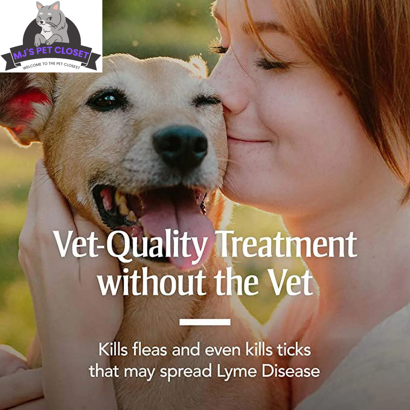 Happy dog wearing a long lasting dog flea collar 6 months, providing effective flea and tick protection