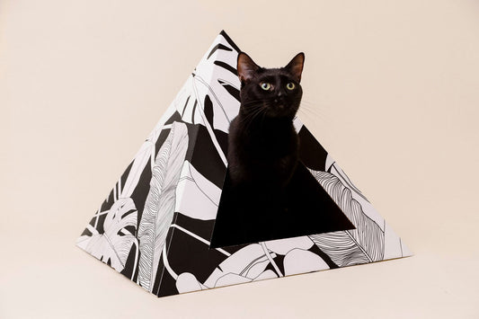 'Dark Paradise' Cardboard Cat Pyramid - KittyKardboard