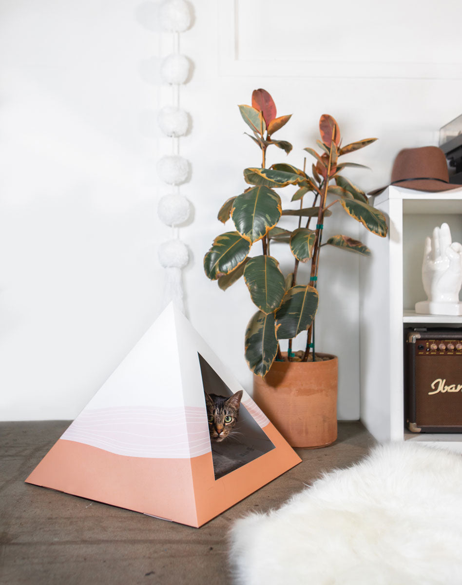 'Wavey' Cardboard Cat Pyramid - KittyKardboard