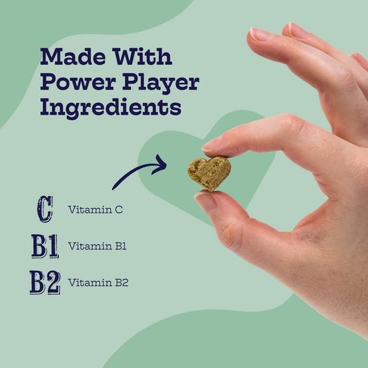 Moe's Healthy Pets chicken and waffles dog chews made with power player ingredients and essential vitamins