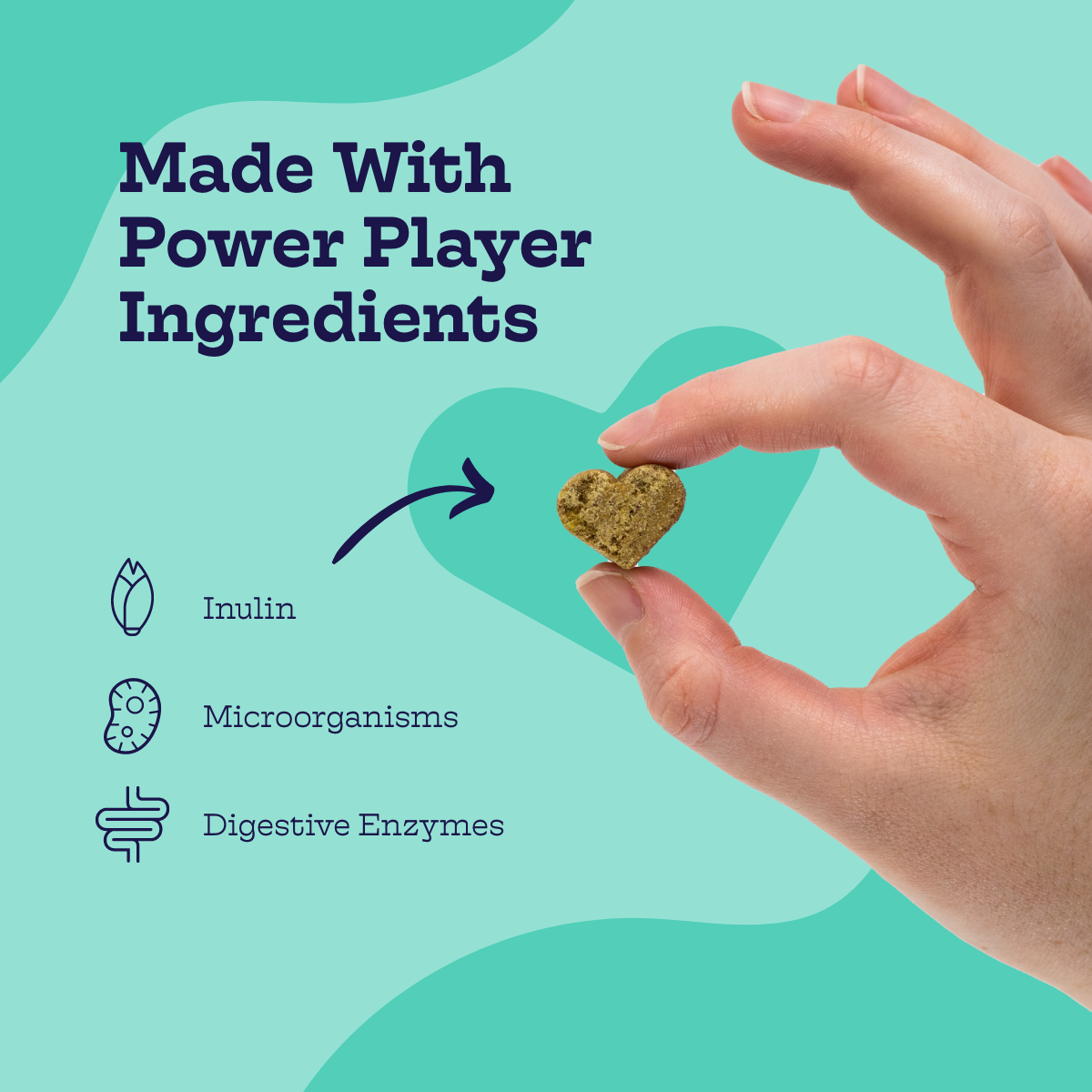 Moe's Healthy Pets dog probiotic chews made with inulin, microorganisms, and digestive enzymes