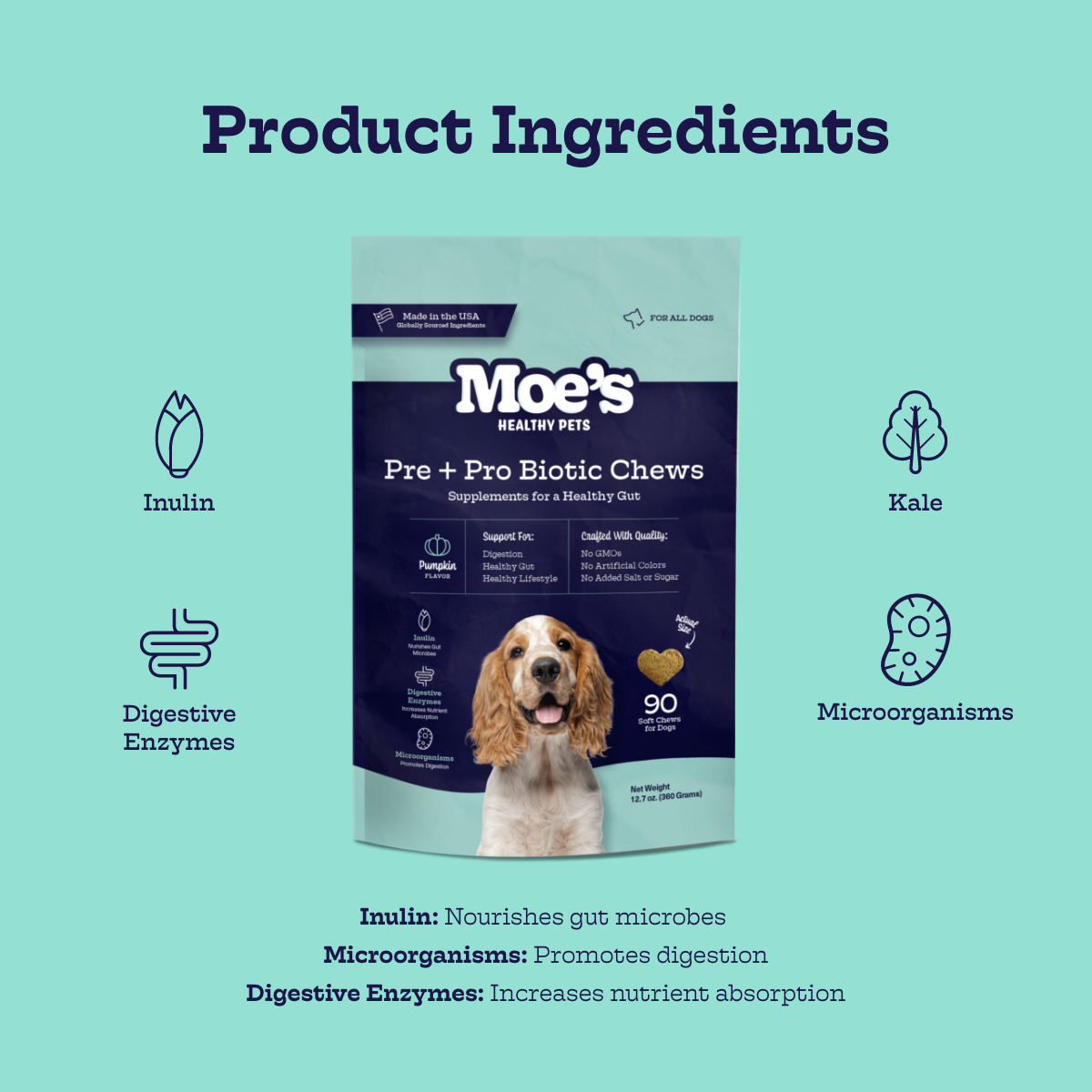 Moe's Healthy Pets Pre + Pro Biotic Chews for dogs with ingredients like inulin and kale