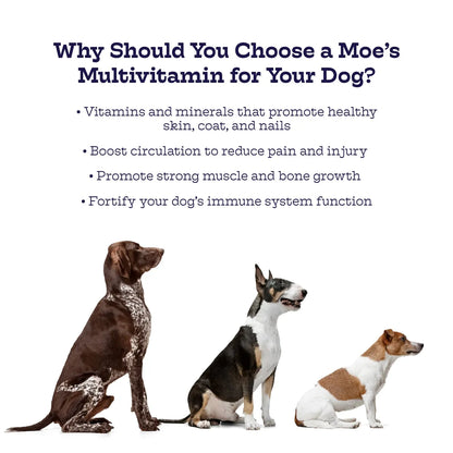 Moe's Healthy Pets - Daily Multivitamin Chews for Dogs with Omega-3 Joint Support - Non-Prescription Dog Food