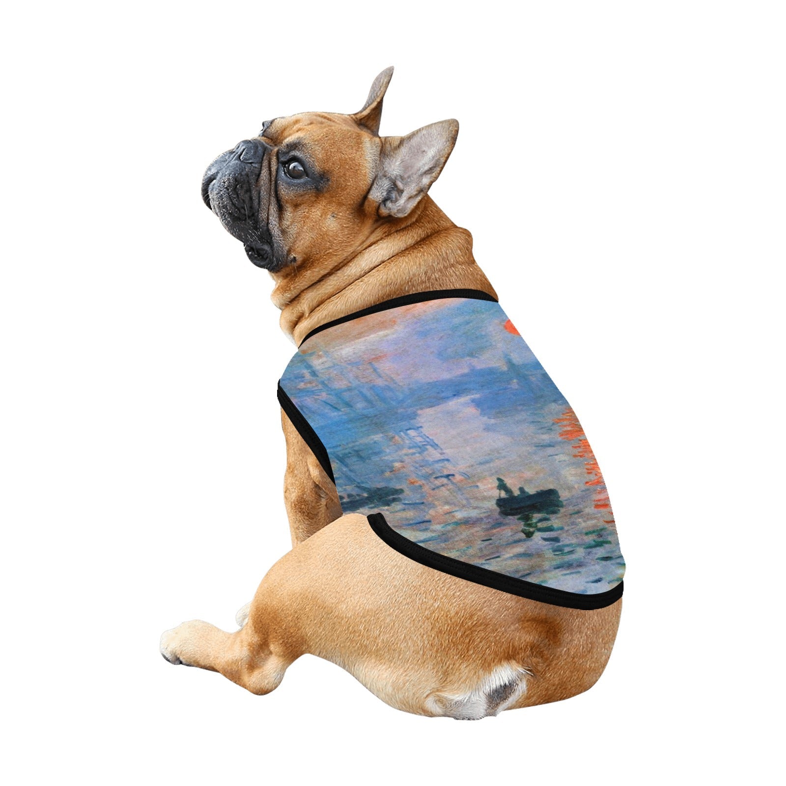 Pet Supply Monet Impression Sunrise Tank Top for Daily Use - close up product image for pet supply
