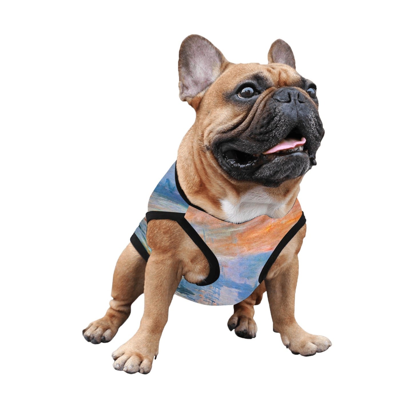 Pet Supply Monet Impression Sunrise Tank Top for Daily Use - size and texture image for pet supply