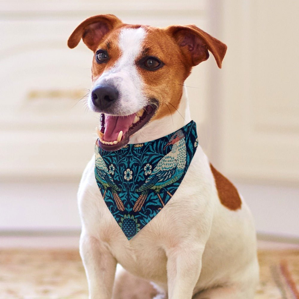 Pet Supply Morris Bird Scarf for Daily Use for Comfort Essen - close up product image for pet supply